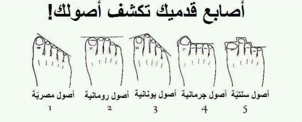 تعرف علي أصلك من شكل أصابع قدميك تعرف علي أصلك من شكل أصابع قدميك
